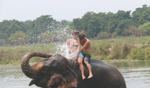 elephant bathing-chitwan